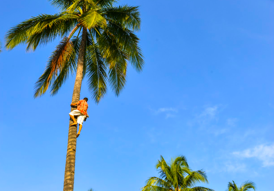 Colima Sabe/Foto: Javier Flores.png