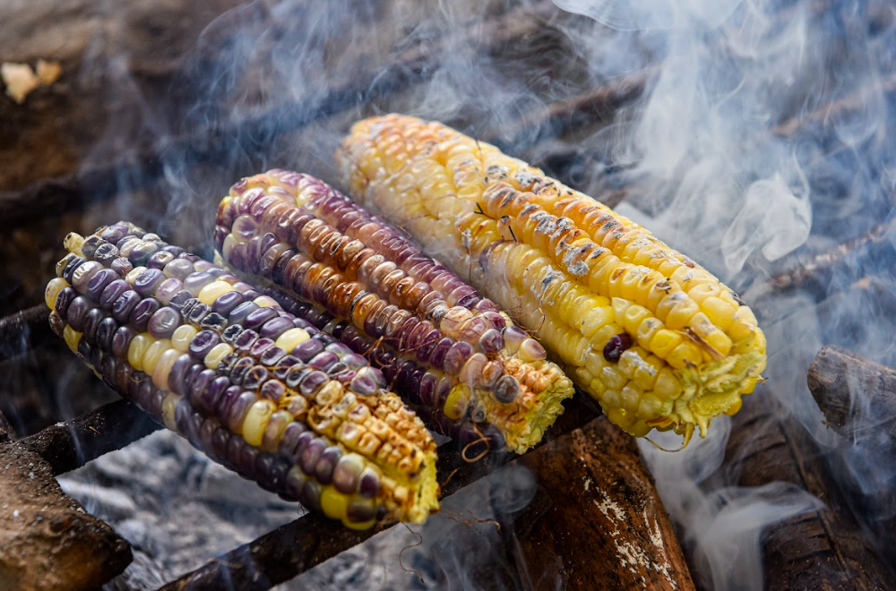 Volcanes de Colima/Foto: Javier Flores.png