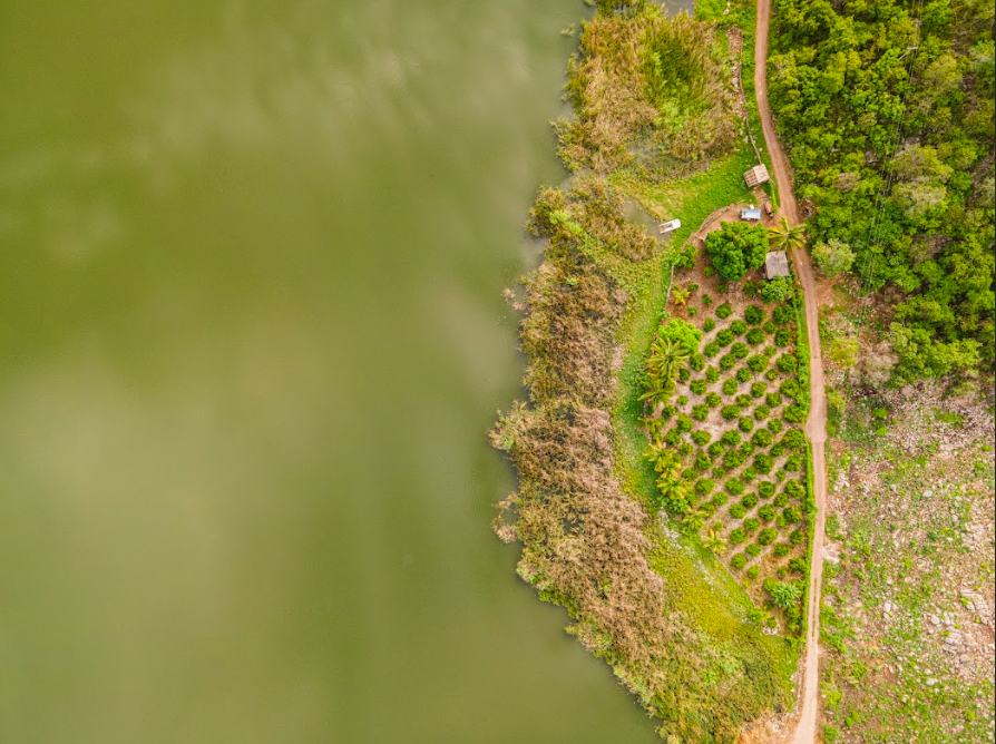 Valles de Colima/Foto: Charly Ramos.png