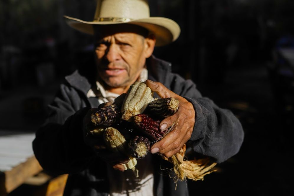 Montañas de Colima/Foto: Charly Ramos.png