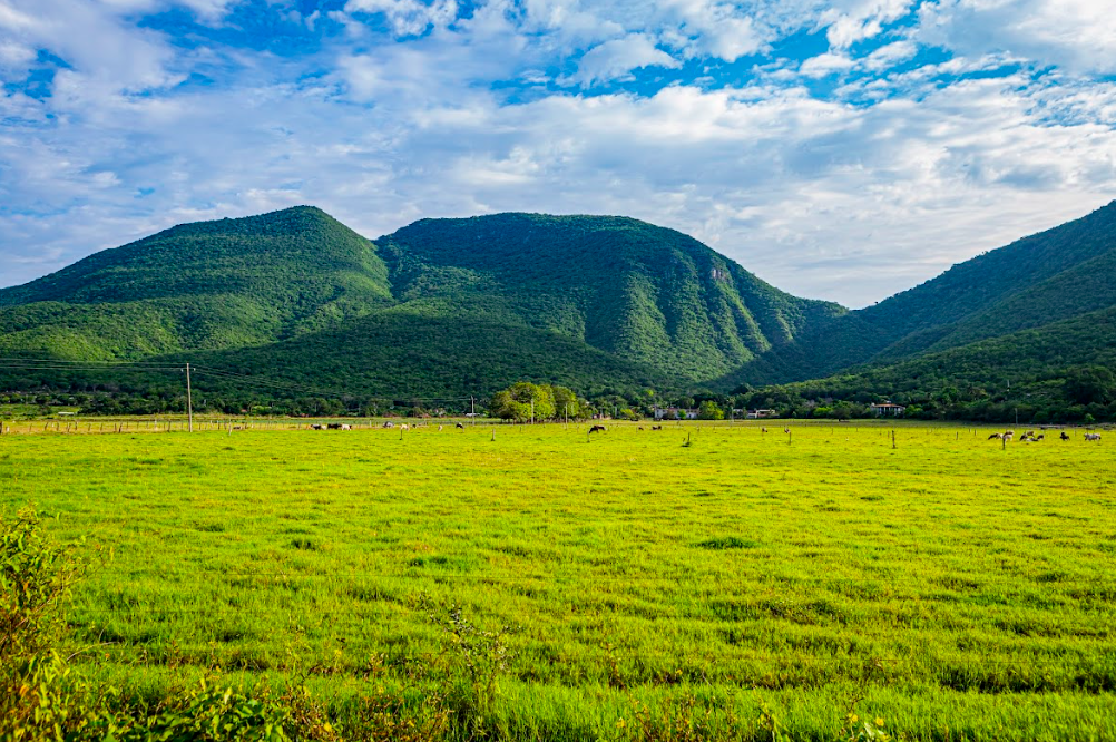 Valles de Colima/Foto: Javier Flores.png