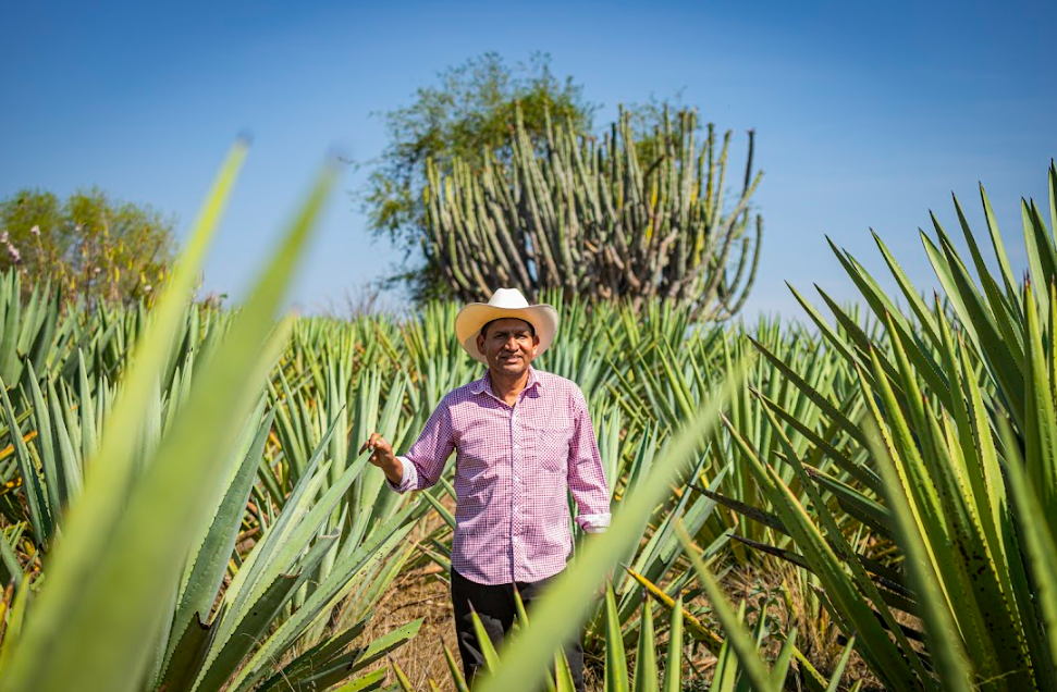 Volcanes de Colima/Foto: Gilberto Hernández.png