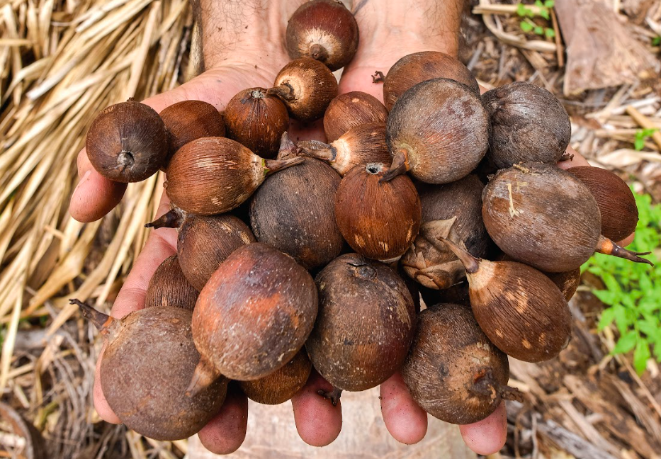 Costas de Colima/Foto: Charly Ramos.png