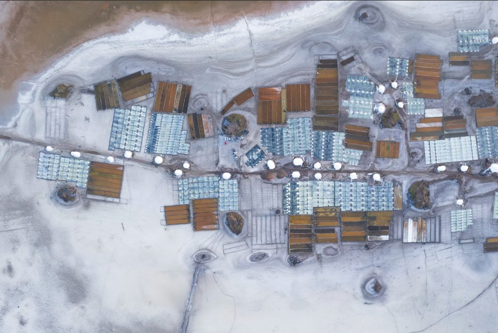 Colima Sabe/Foto: Gilberto Hernández.png