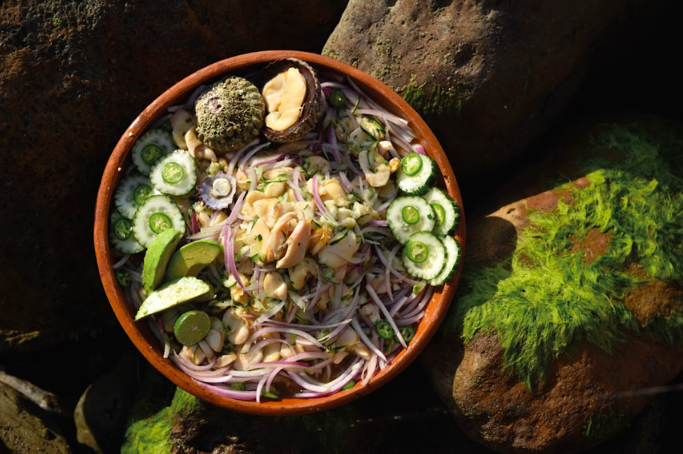 Costas de Colima/Foto: Javier Flores.png