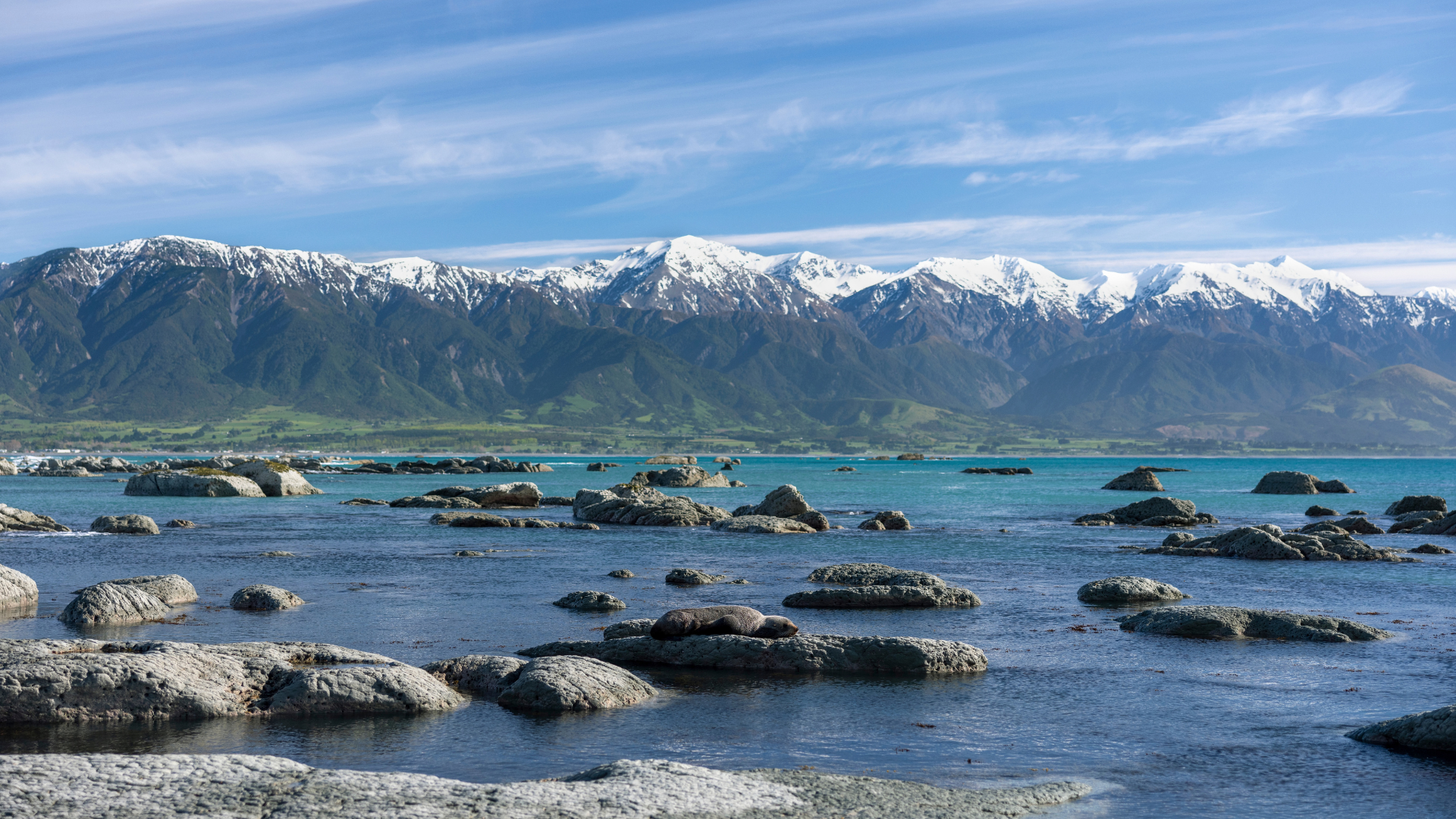Kaikoura NZ Worldschooling Destination | Credit Miles Holden