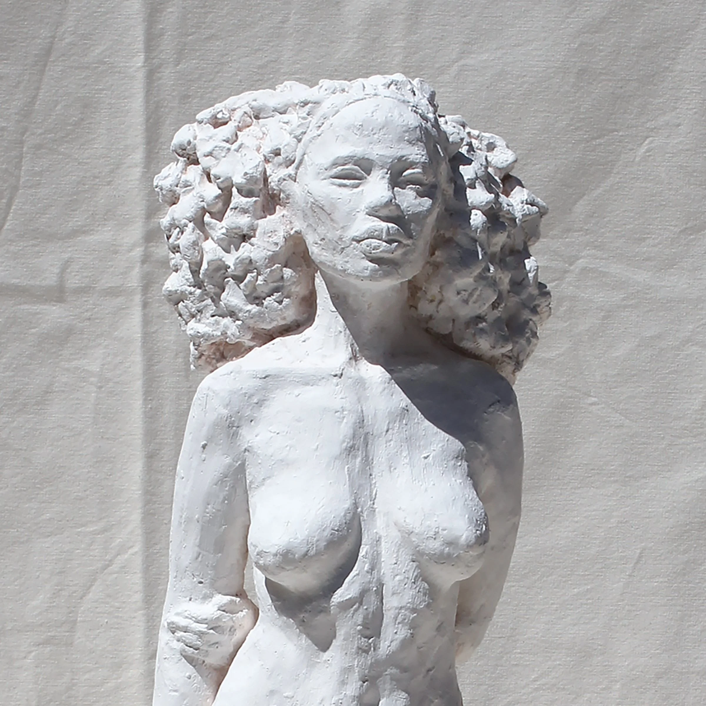 Figure 1_crop.jpg