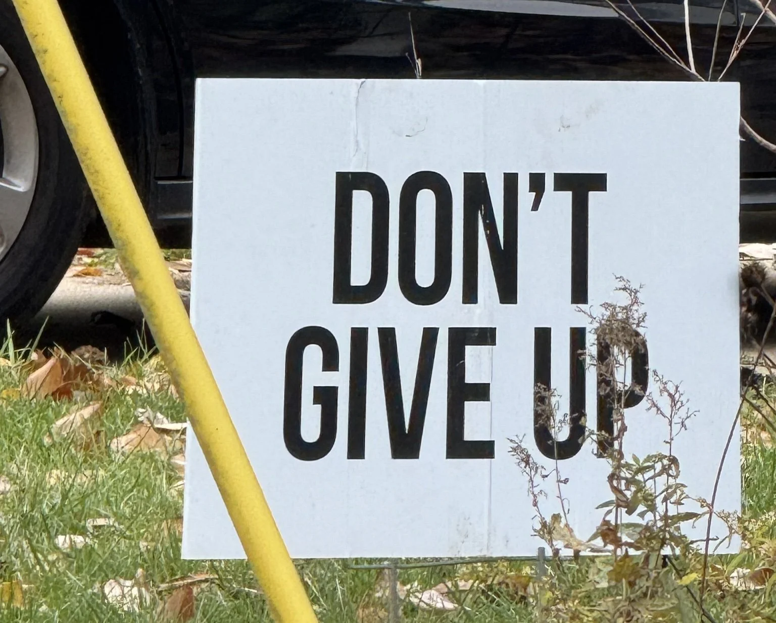 Letter to District 12: Week of 11/16