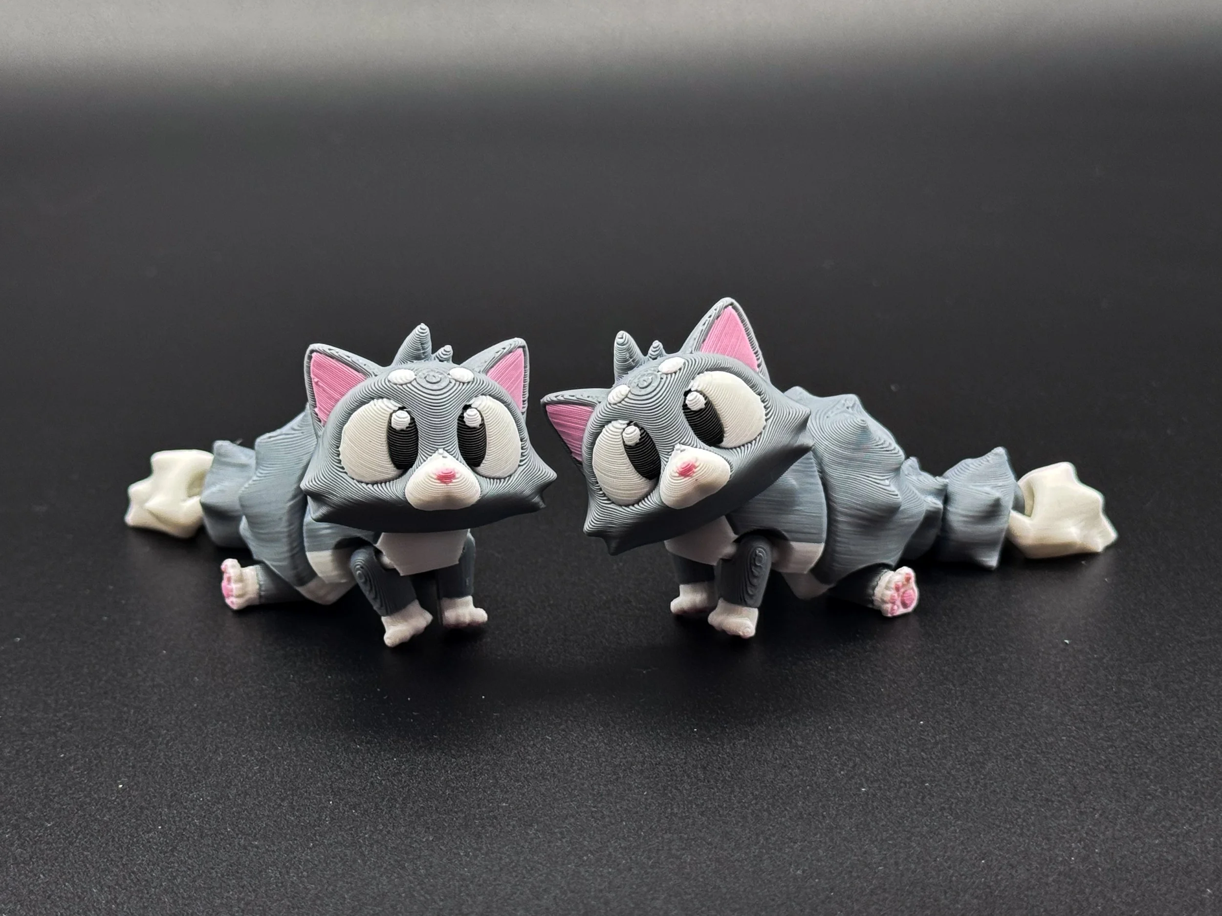 Meet the Flexi Cats!