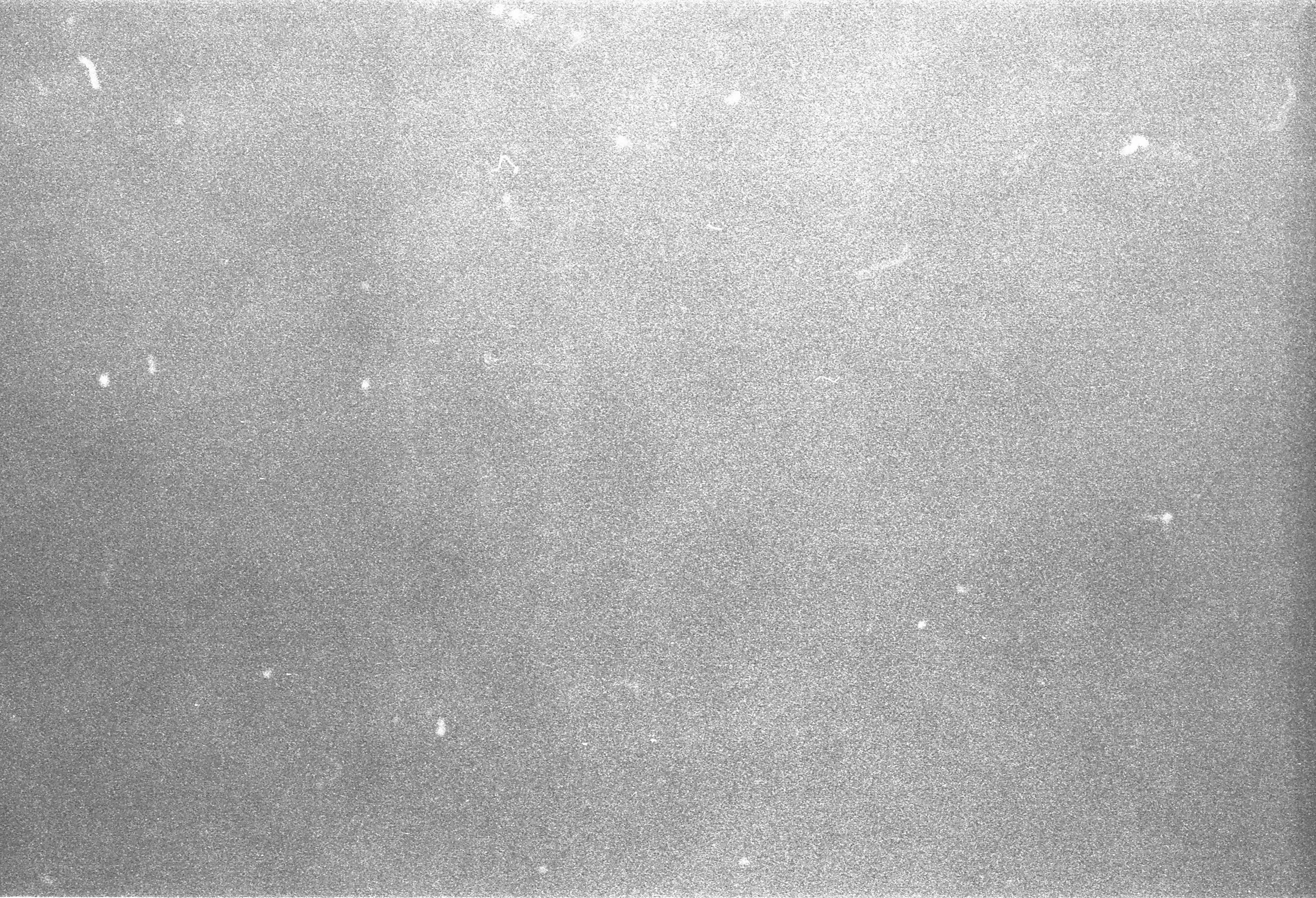 Close-up view of a metallic, textured surface with small, shiny, uneven spots scattered across it.