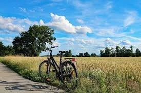Fall Sunflower Tour (Women's tour)
