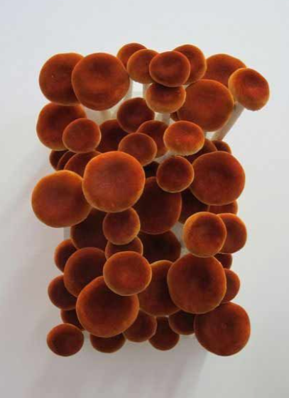 Screenshot 2026-01-02 at 4.01.00 PM.png