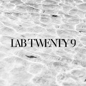element-avi2.jpg