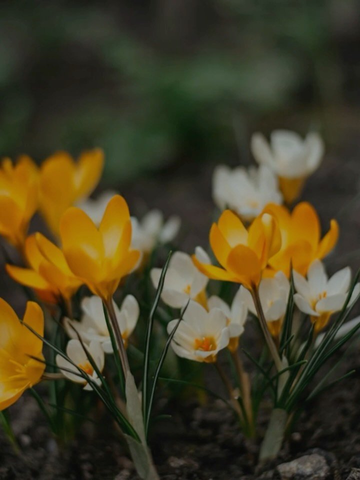 If your hope feels postponed, take a moment to place it back in Him. 💛

Disappointments can weigh on us, but God sees every hope, every desire, and He cares. Your hope may be deferred, but the process is never wasted&mdash;and He can bring new life 