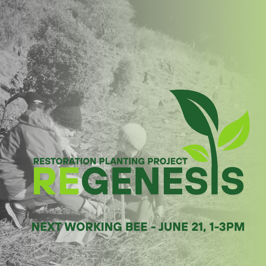 Regenesis Working Bee