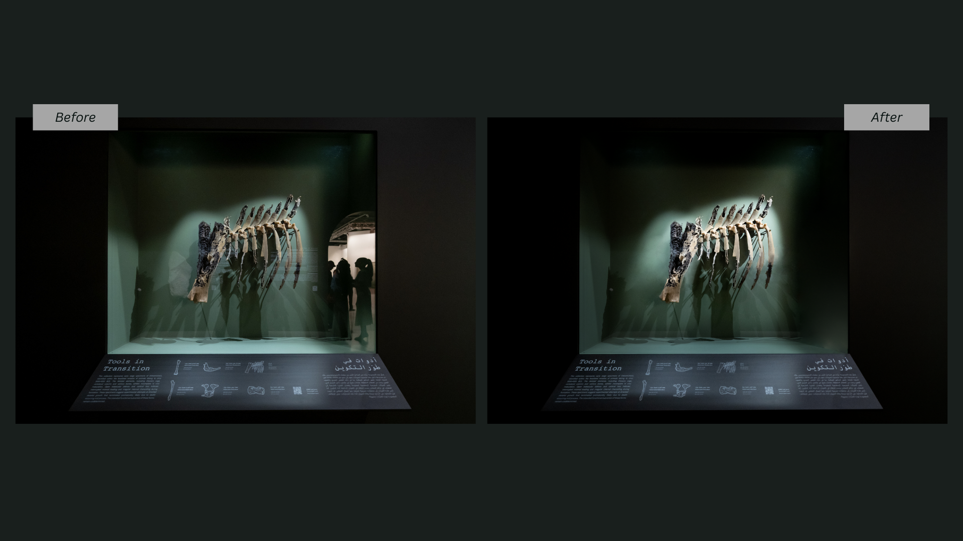 Beyond Emerging Artists: Maktoum Al Maktoum's Exhibit