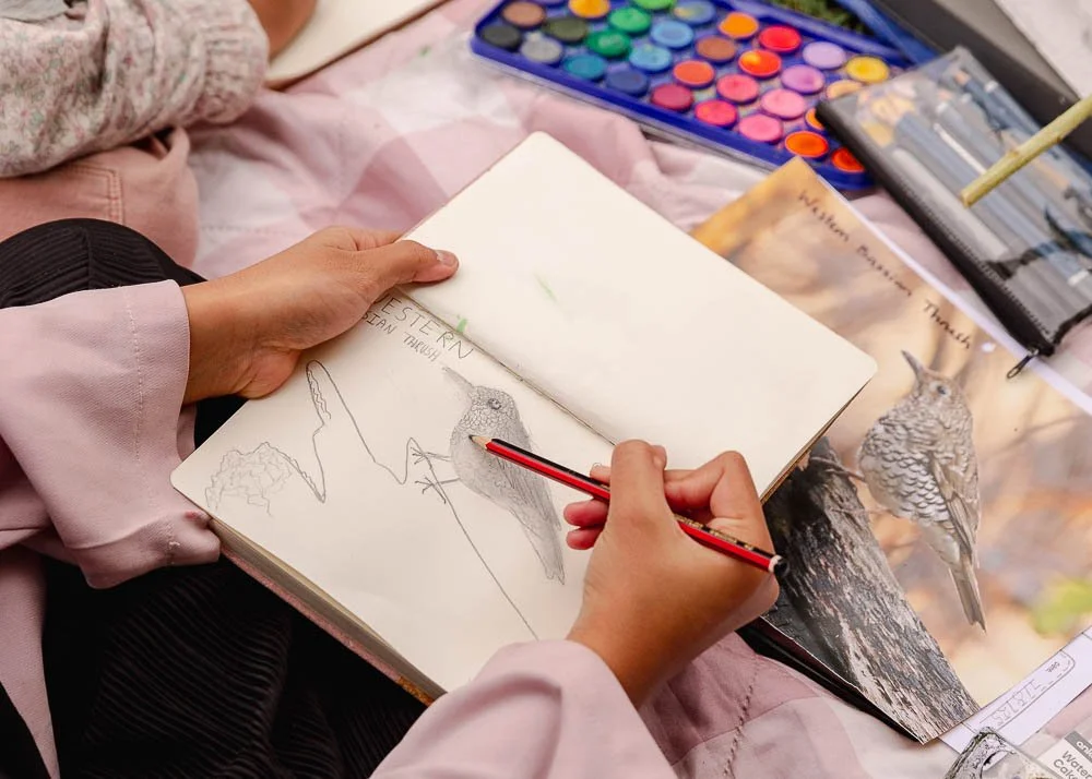 Nature journaling sketch of a small bird drawn from observation using pencil and reference images.