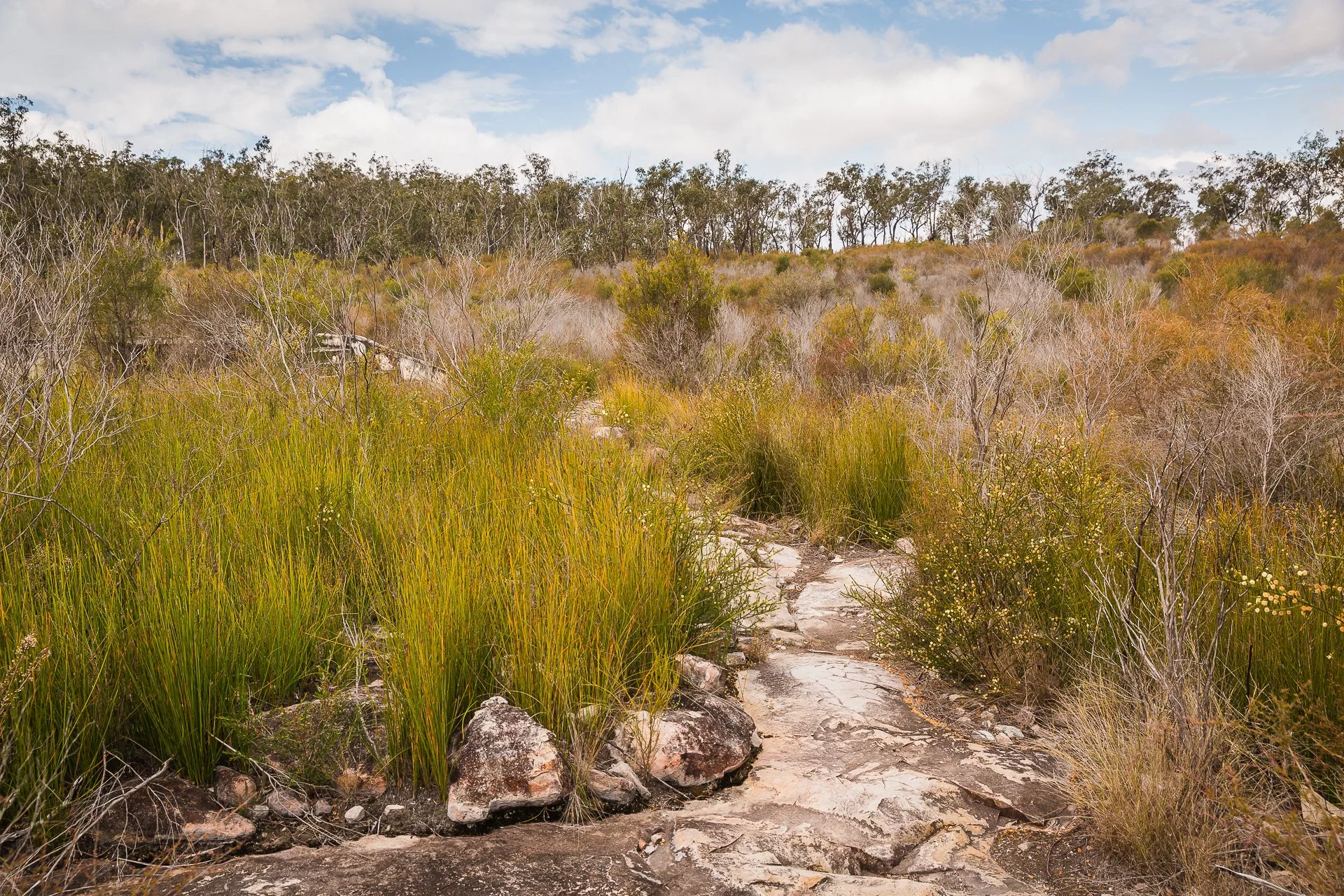 Mount French National Park, Qld