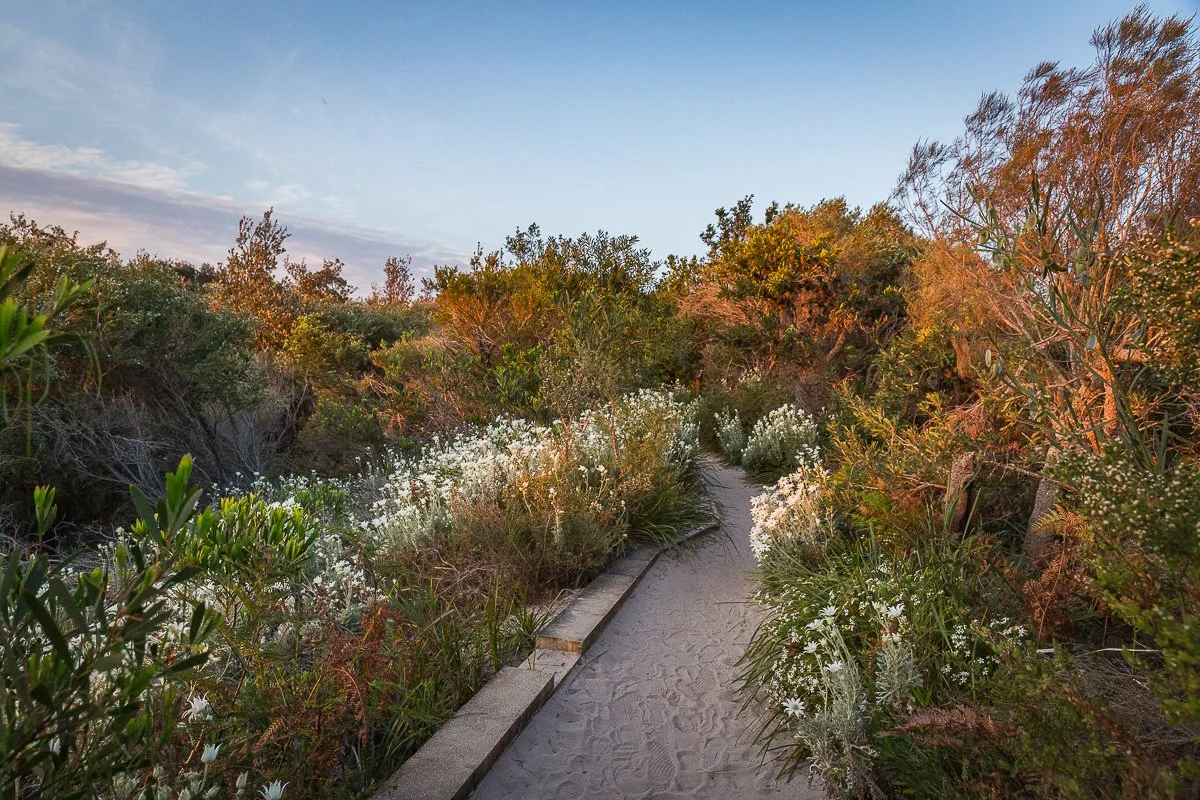 Places | Flora | Birds