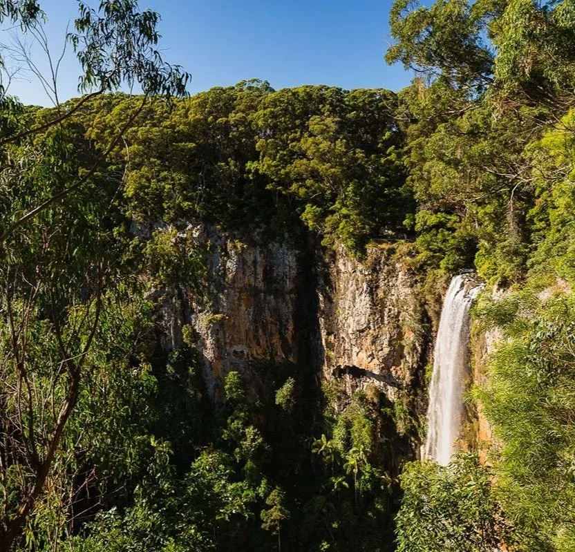 Purlingbrook Falls -  Springbrook National Park, Qld