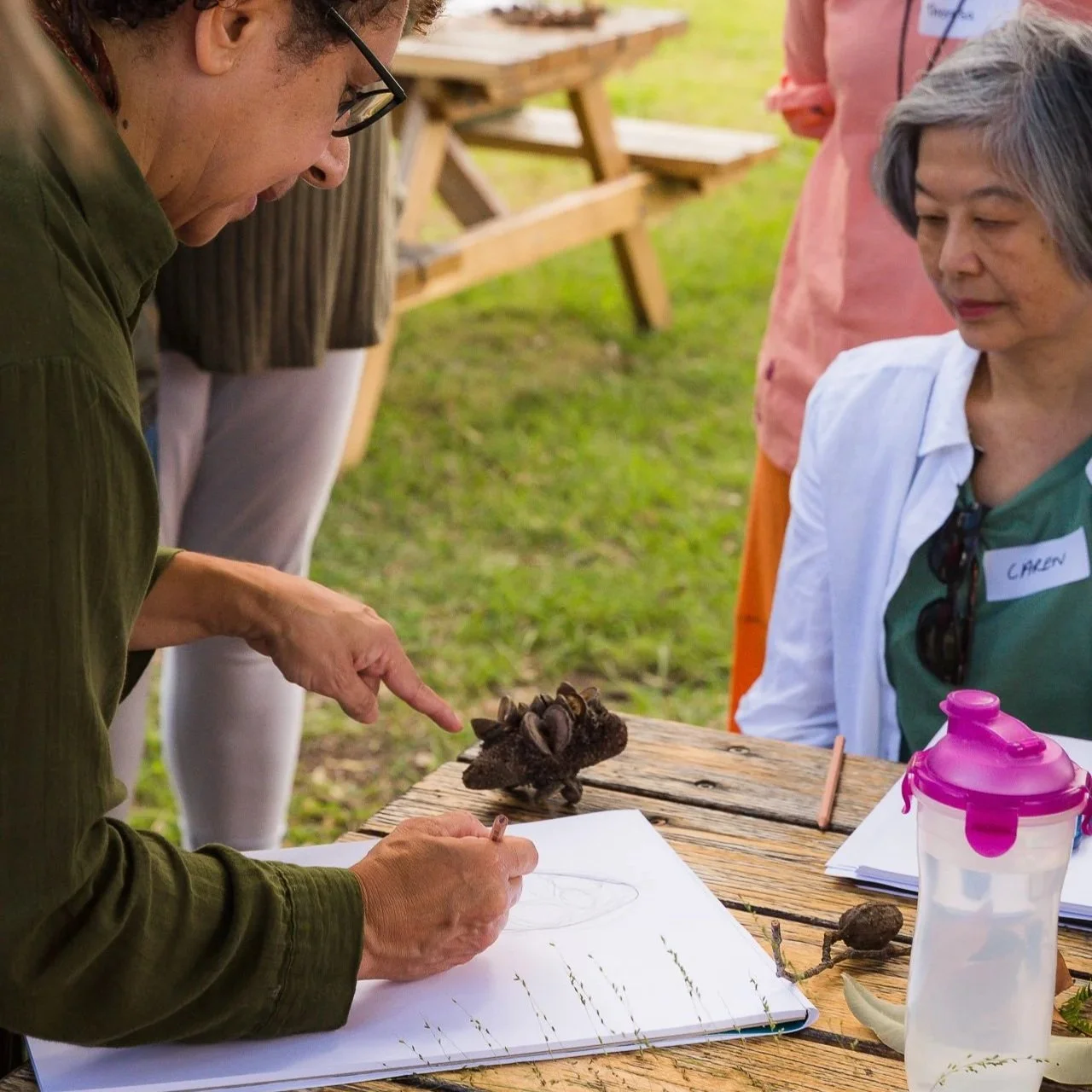 'Intro to Nature Journaling' - Kingston Butter Factory, 2024