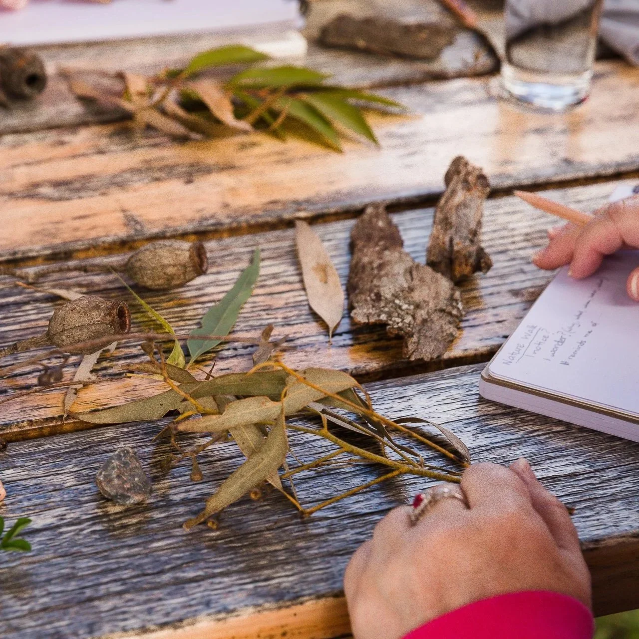 'Intro to Nature Journaling' - Kingston Butter Factory, 2024
