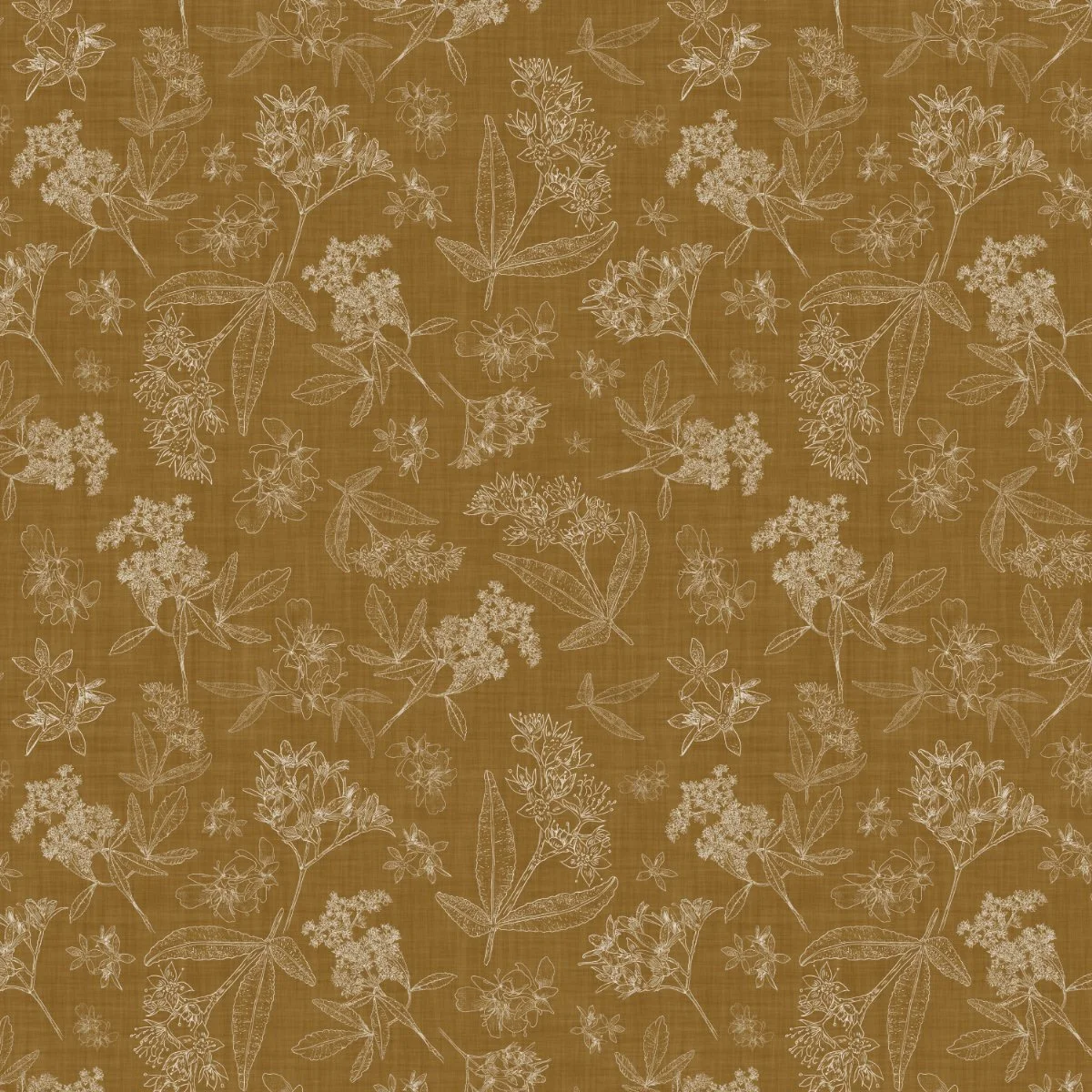 botanical illustration hand drawn botanicals linework in warm neutral cream beige on fall mustard yellow background