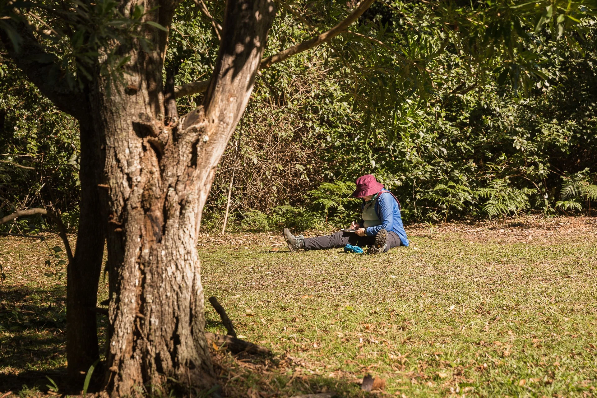 'Intro to Nature Journaling': Watergum Community Inc., Springbrook Environmental Festival, 2024