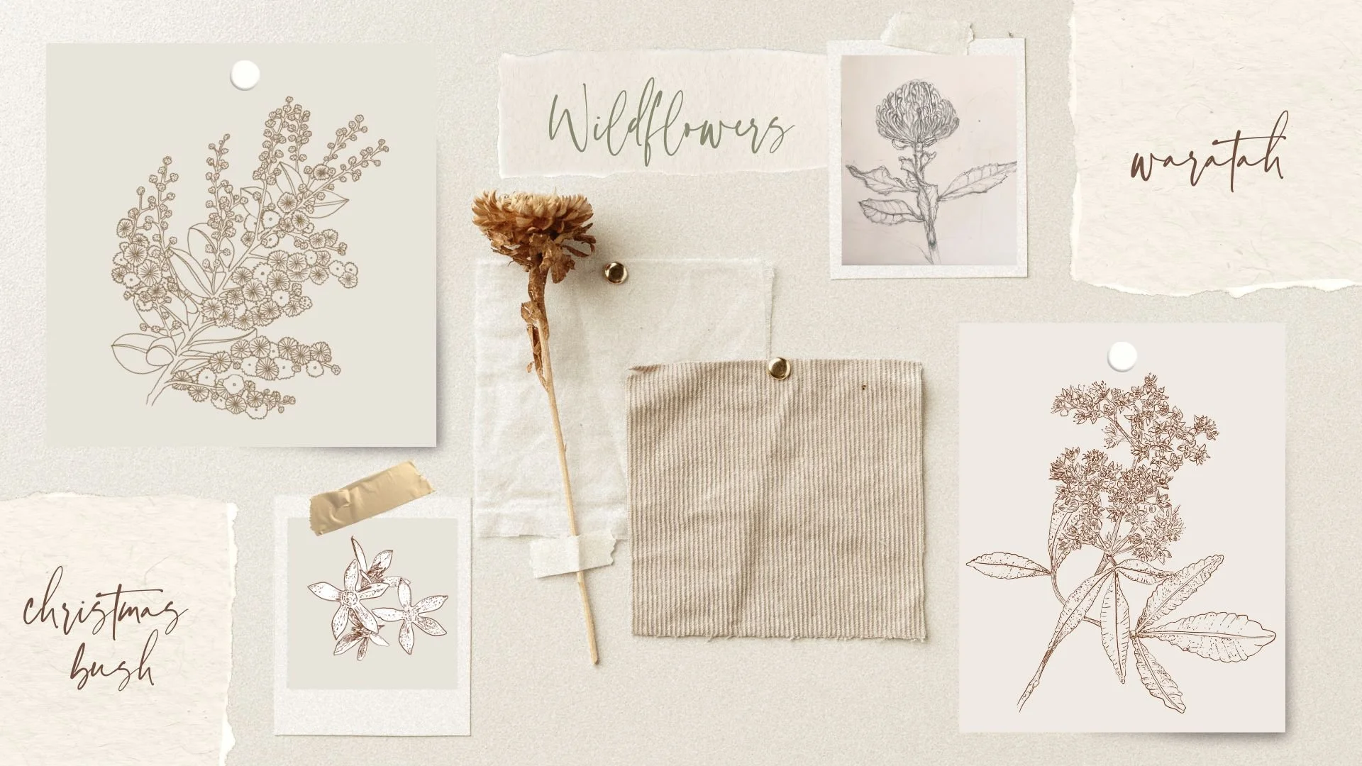 Botanical sketches and dried wildflower arranged on a neutral background as part of a surface pattern design process.