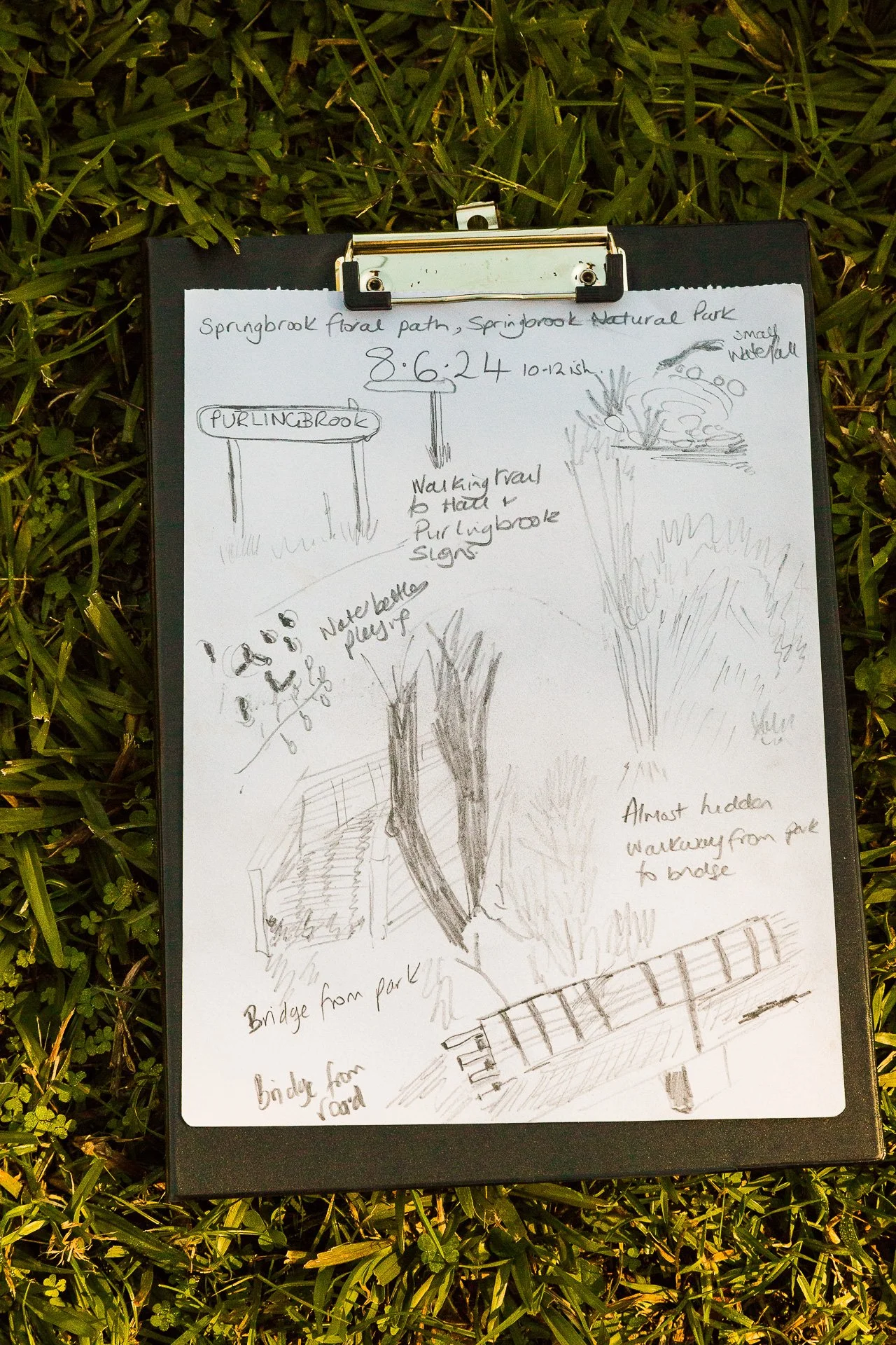 'Intro to Nature Journaling' workshop