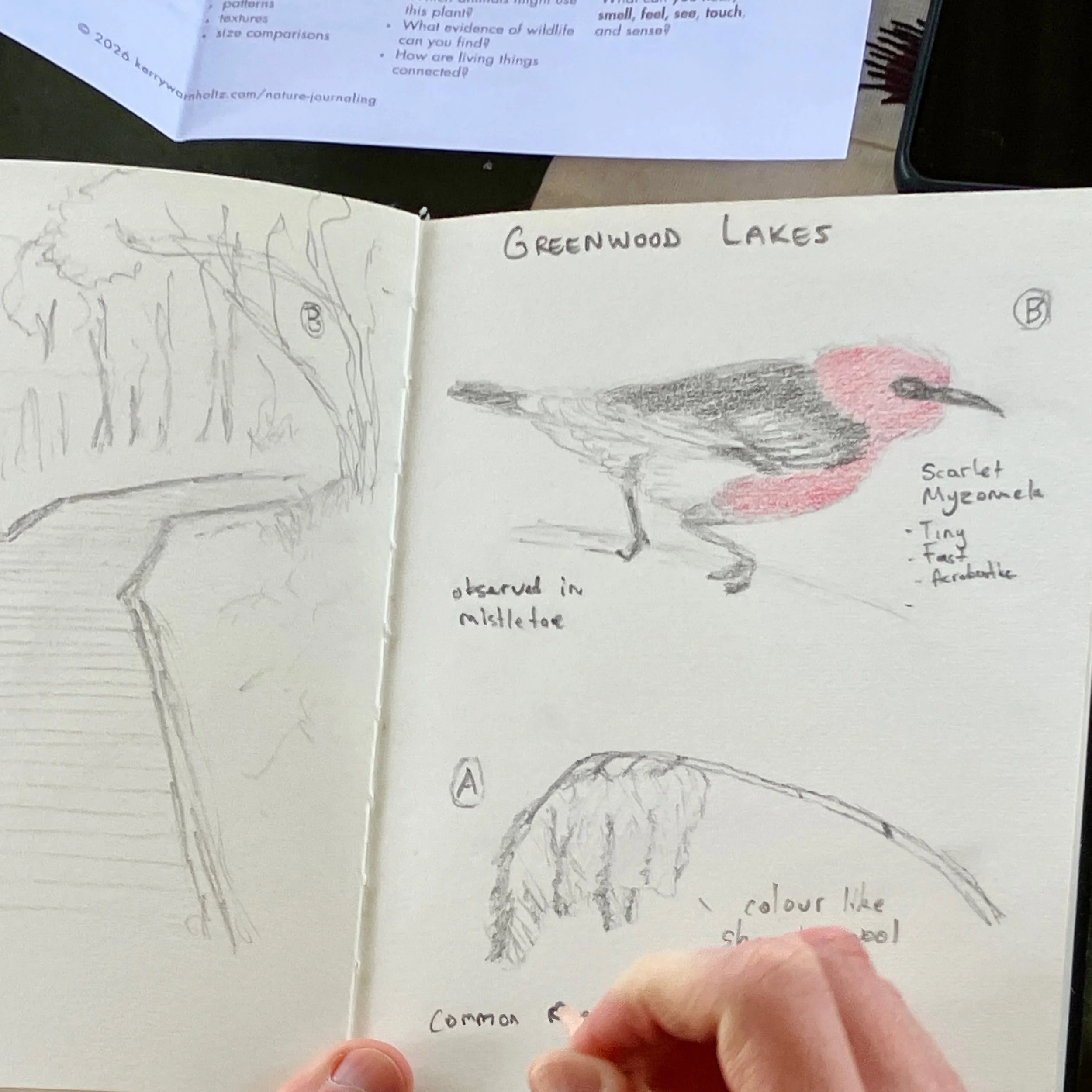 'Nature Journaling at Greenwood Lakes' workshop - Greenwood Lakes Forestdale, Qld, July & August 2026