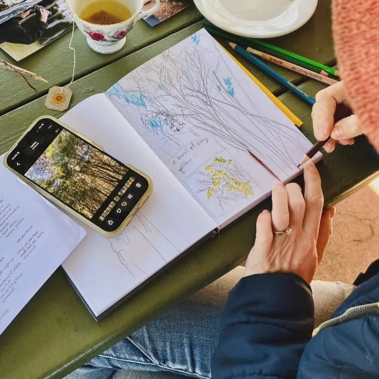 'Nature Journaling at Greenwood Lakes' workshop - Greenwood Lakes Forestdale, Qld, July & August 2026