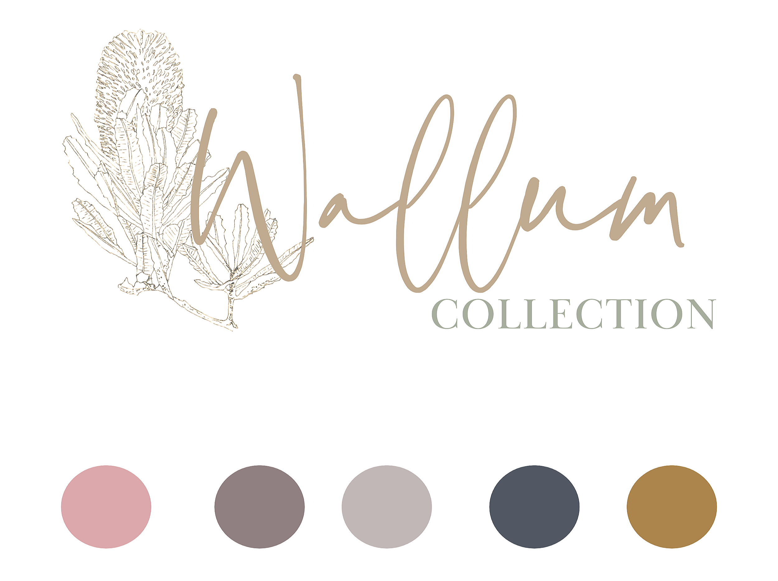 Wallum Banksia Illustration and typography with colour palette