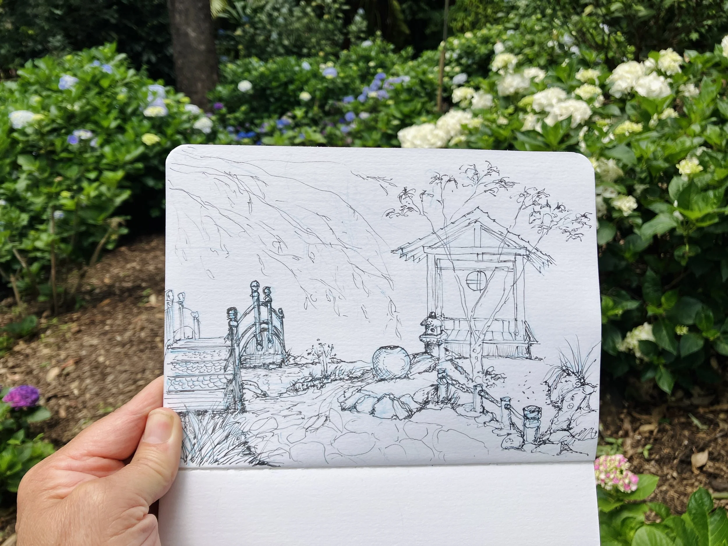 Kerry's Journal Page - Mt Tamborine Botanic Gardens - Japanese section, pencil and ink