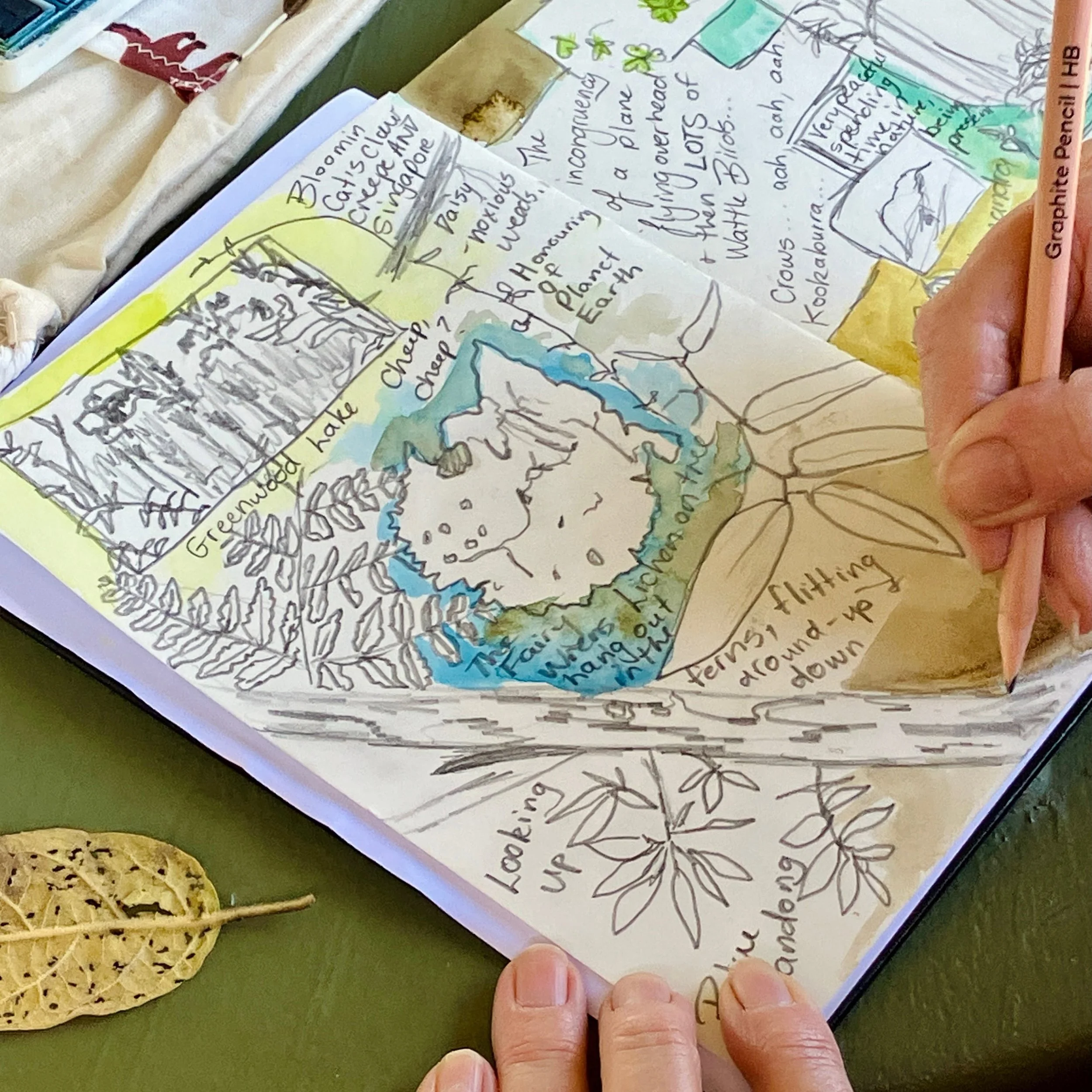 'Nature Journaling at Greenwood Lakes' workshop - Greenwood Lakes Forestdale, Qld, July & August 2026