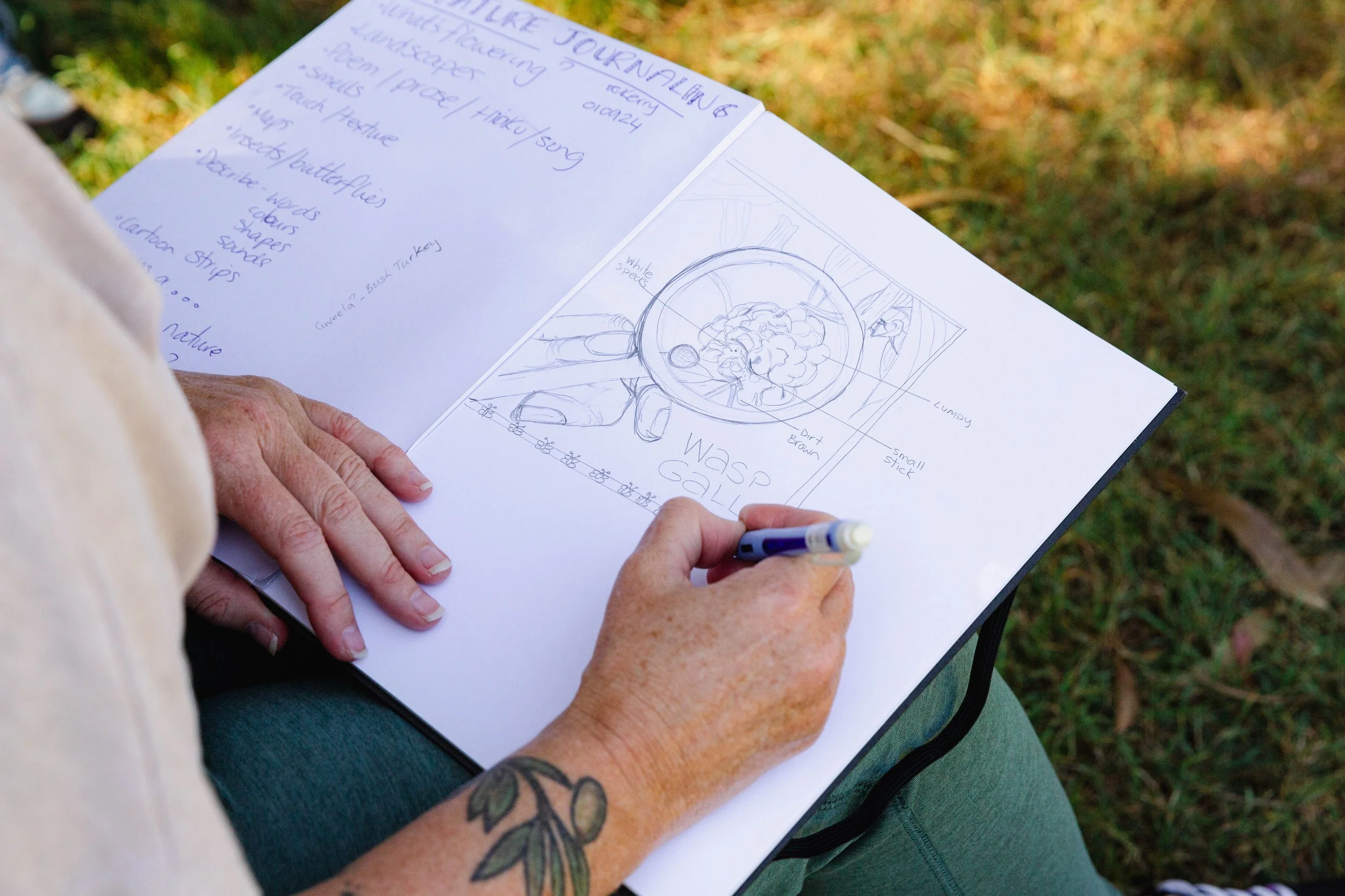 'Nature Journaling in the Field' Meetup - Berrinbah Wetlands,  Sep 2024