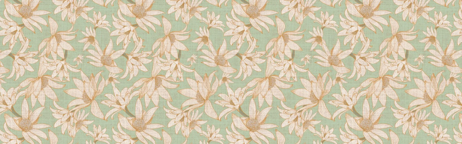 Native-flora-flannel-flower-botanical-textured-sage-green-warm-neutrals.jpg