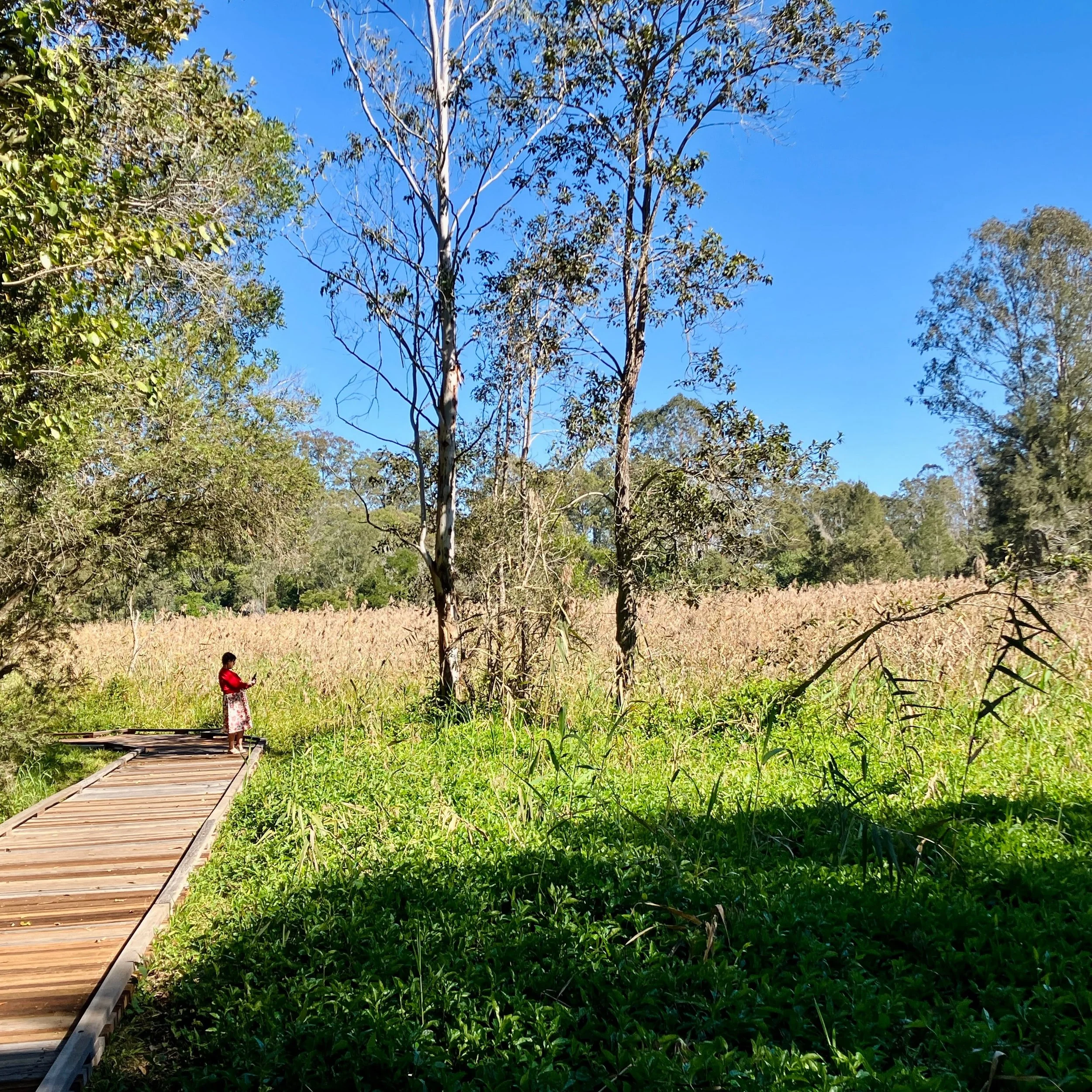 'Nature Journaling at Greenwood Lakes' workshop - Greenwood Lakes Forestdale, Qld, July & August 2026