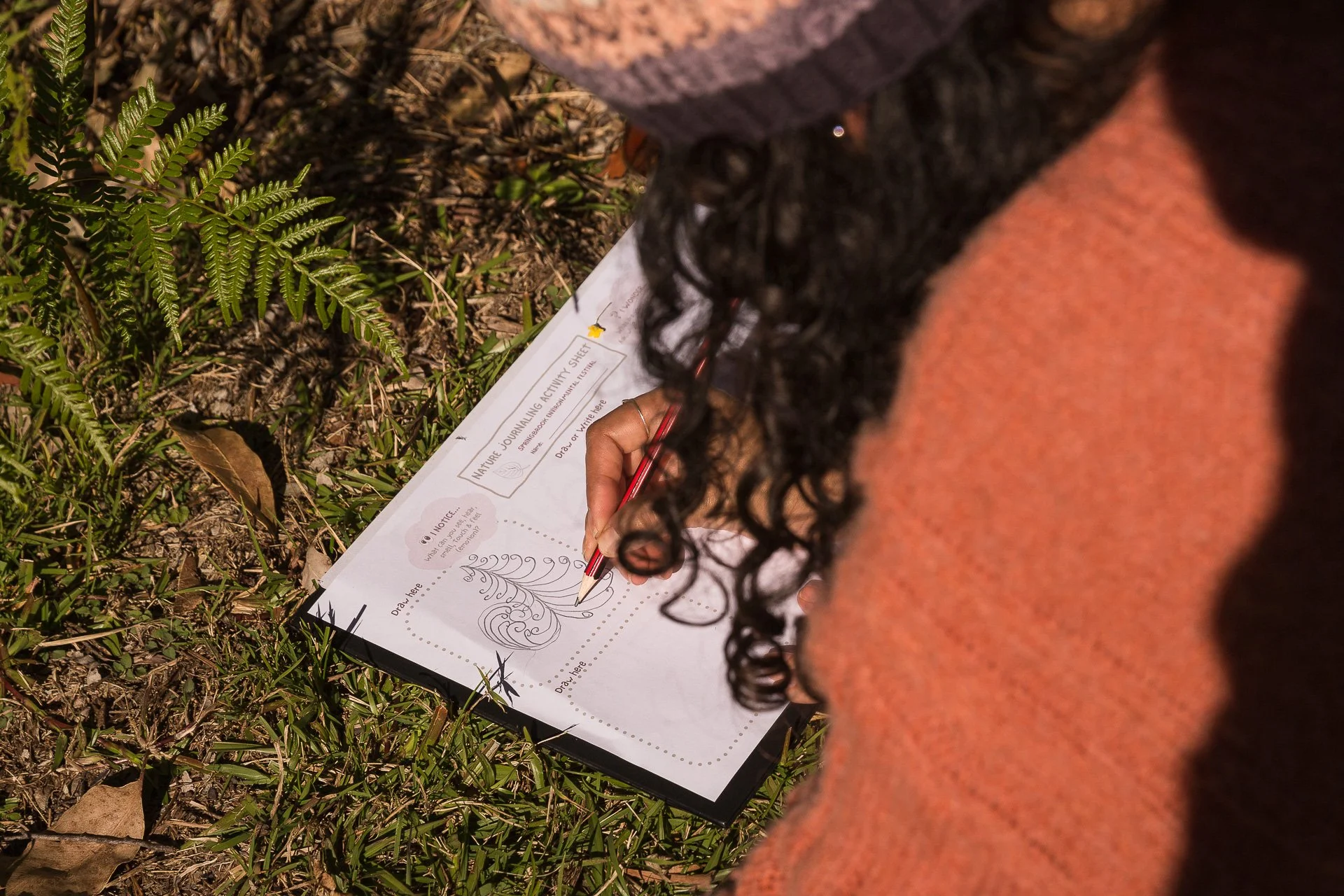'Intro to Nature Journaling': Watergum Community Inc., Springbrook Environmental Festival, 2024
