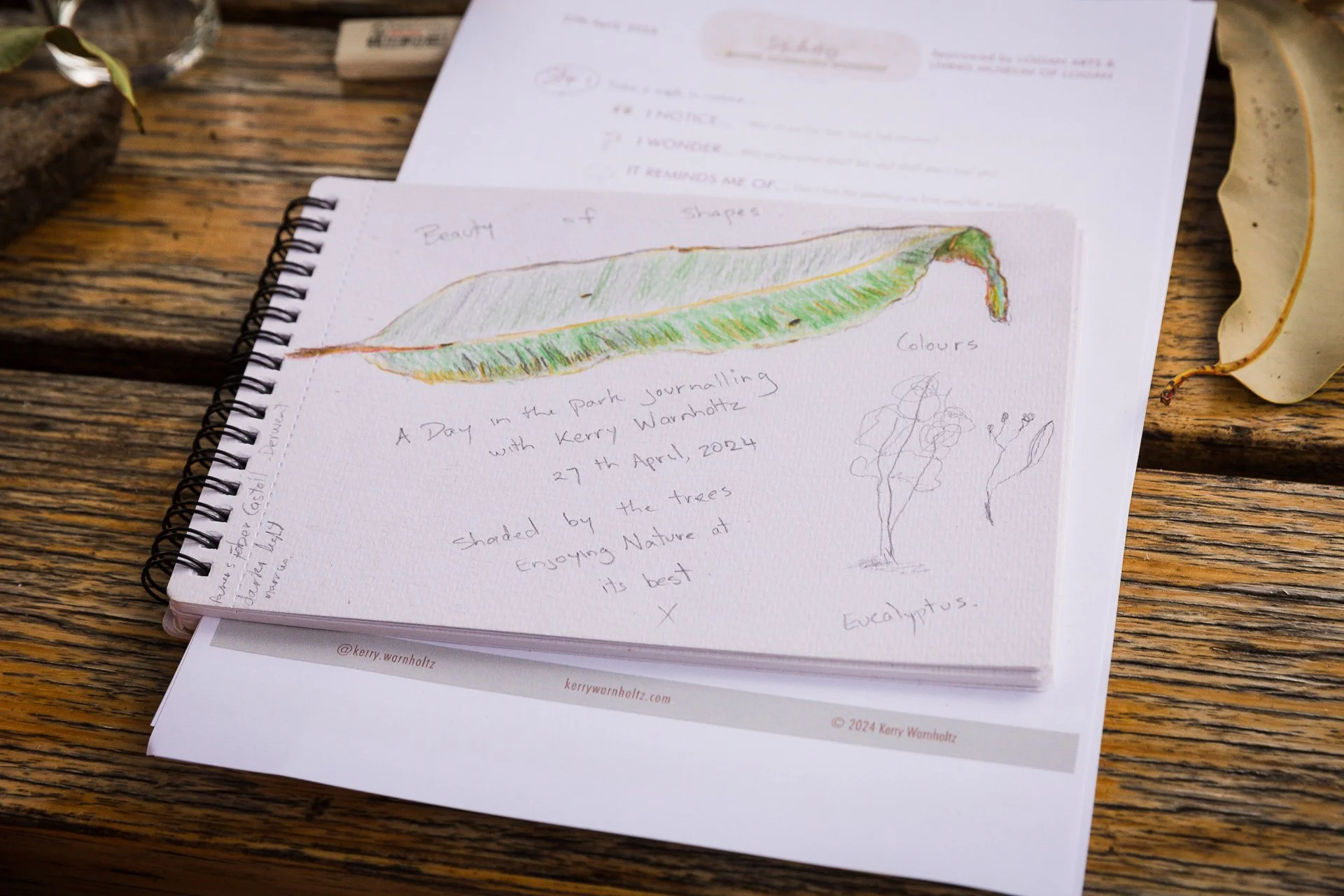 'Intro to Nature Journaling' workshop