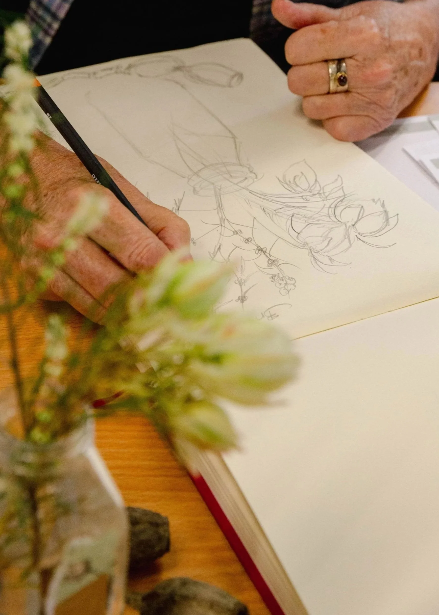 Mature age female hands holding a pencil and drawing flowers in an art journal, with native Australian flowers in the foreground.