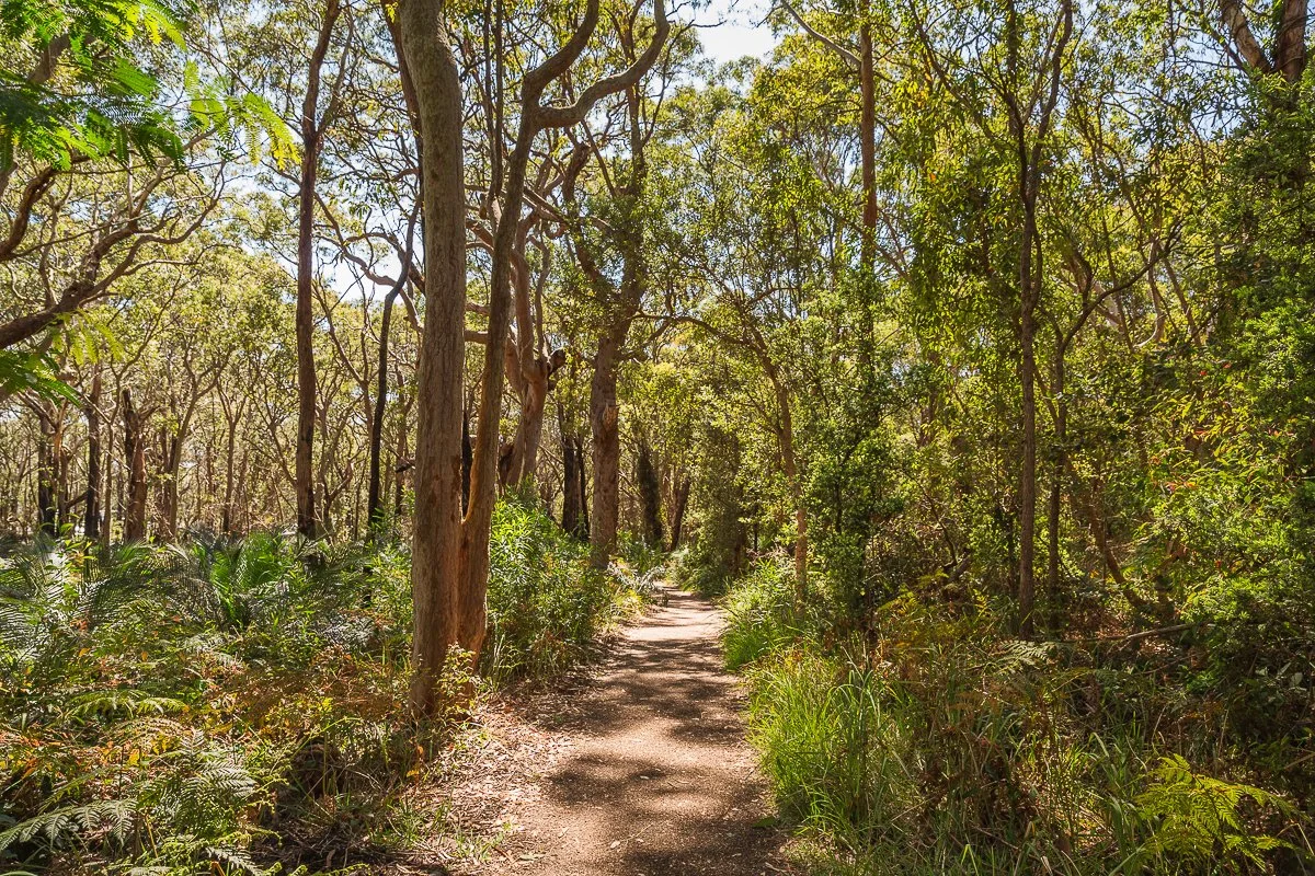 Bateau Bay Coastal Trail, NSW Central Coast