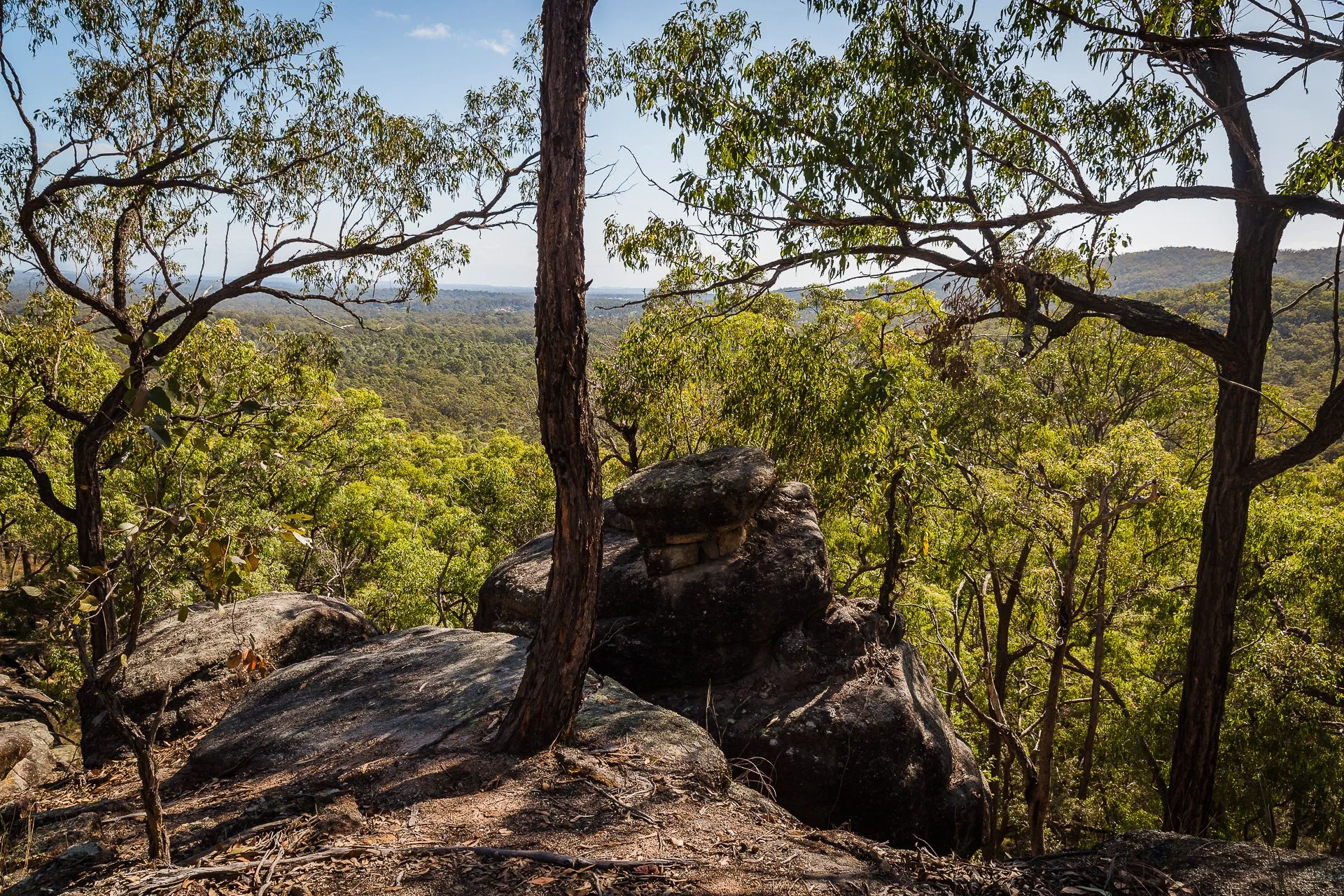 Wickhams Peak Trail, Logan Q