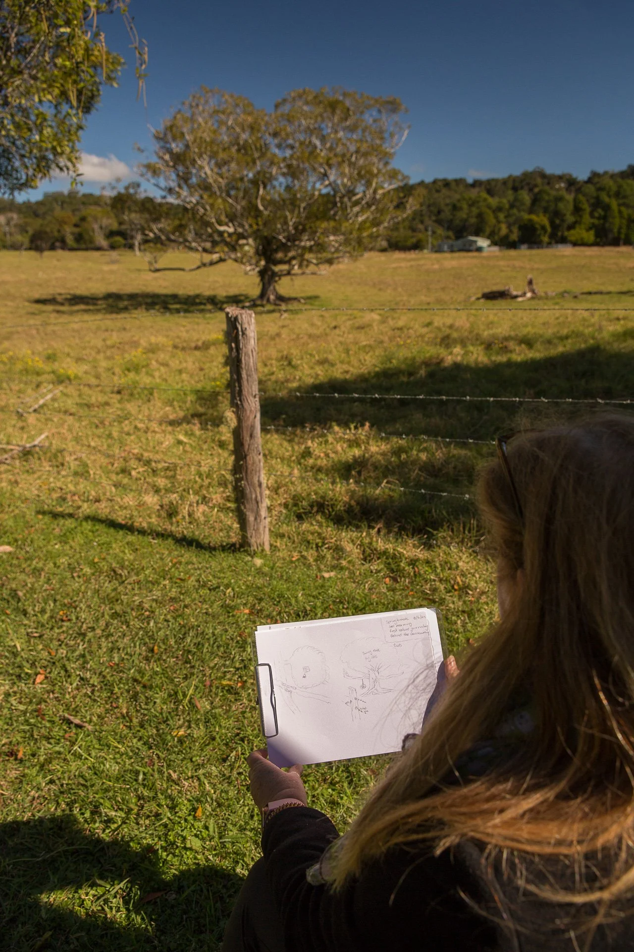 'Intro to Nature Journaling': Watergum Community Inc., Springbrook Environmental Festival, 2024