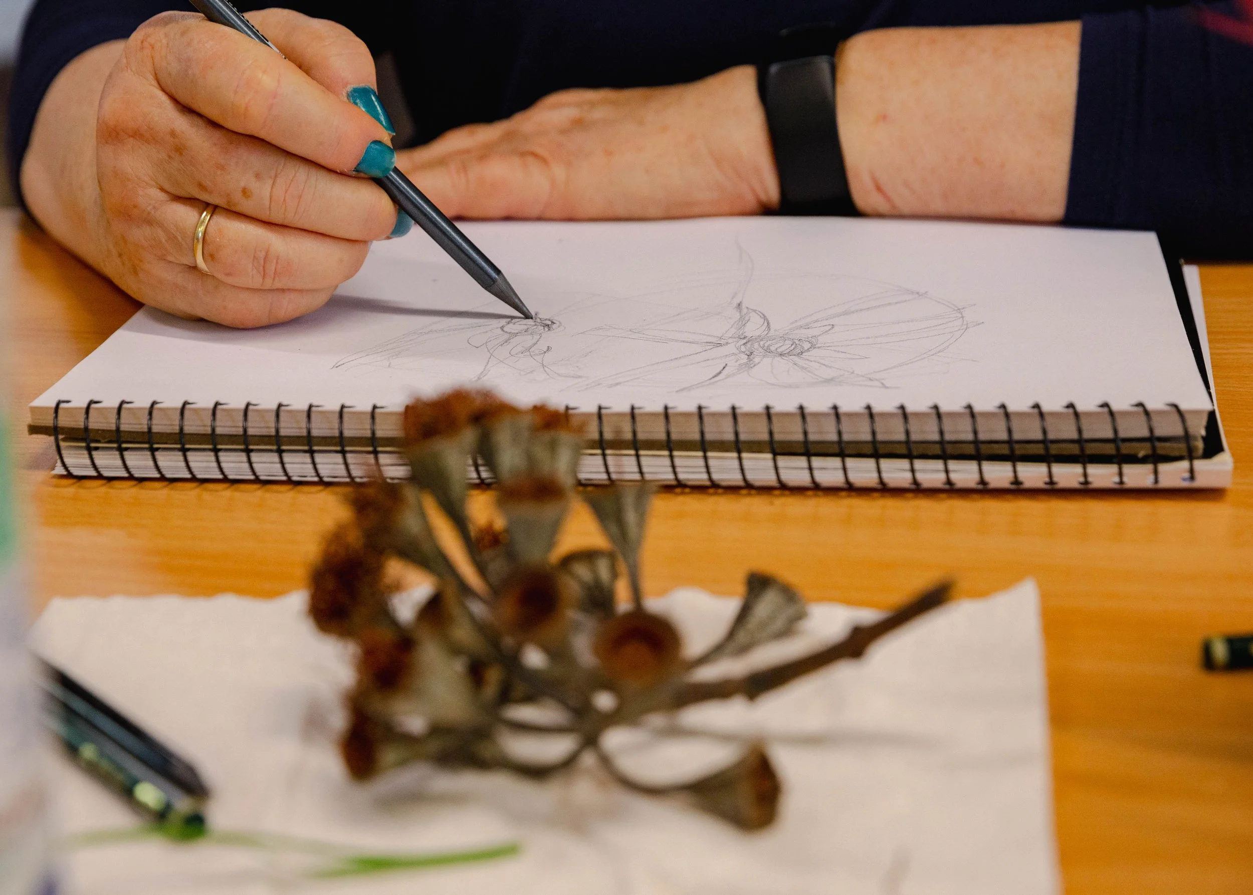 'Add Depth to your Nature Drawings' - Beenleigh, 2024