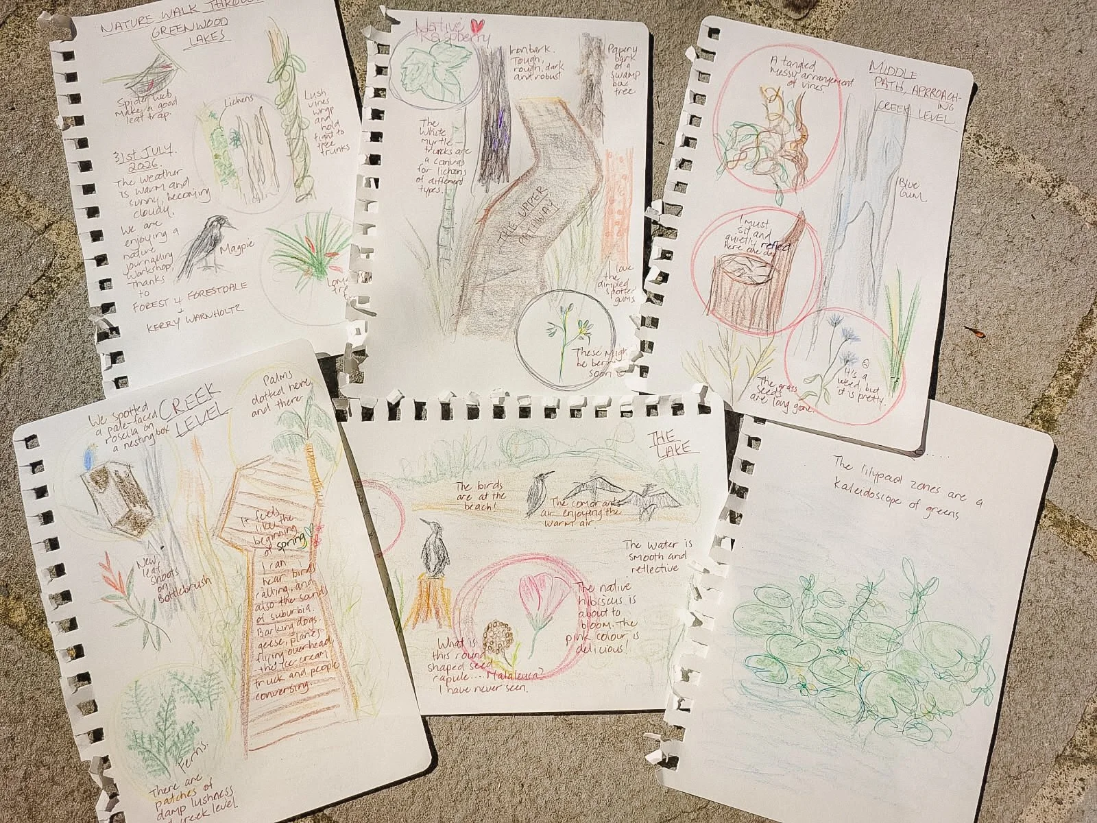 'Nature Journaling at Greenwood Lakes' workshop - Greenwood Lakes Forestdale, Qld, July & August 2026