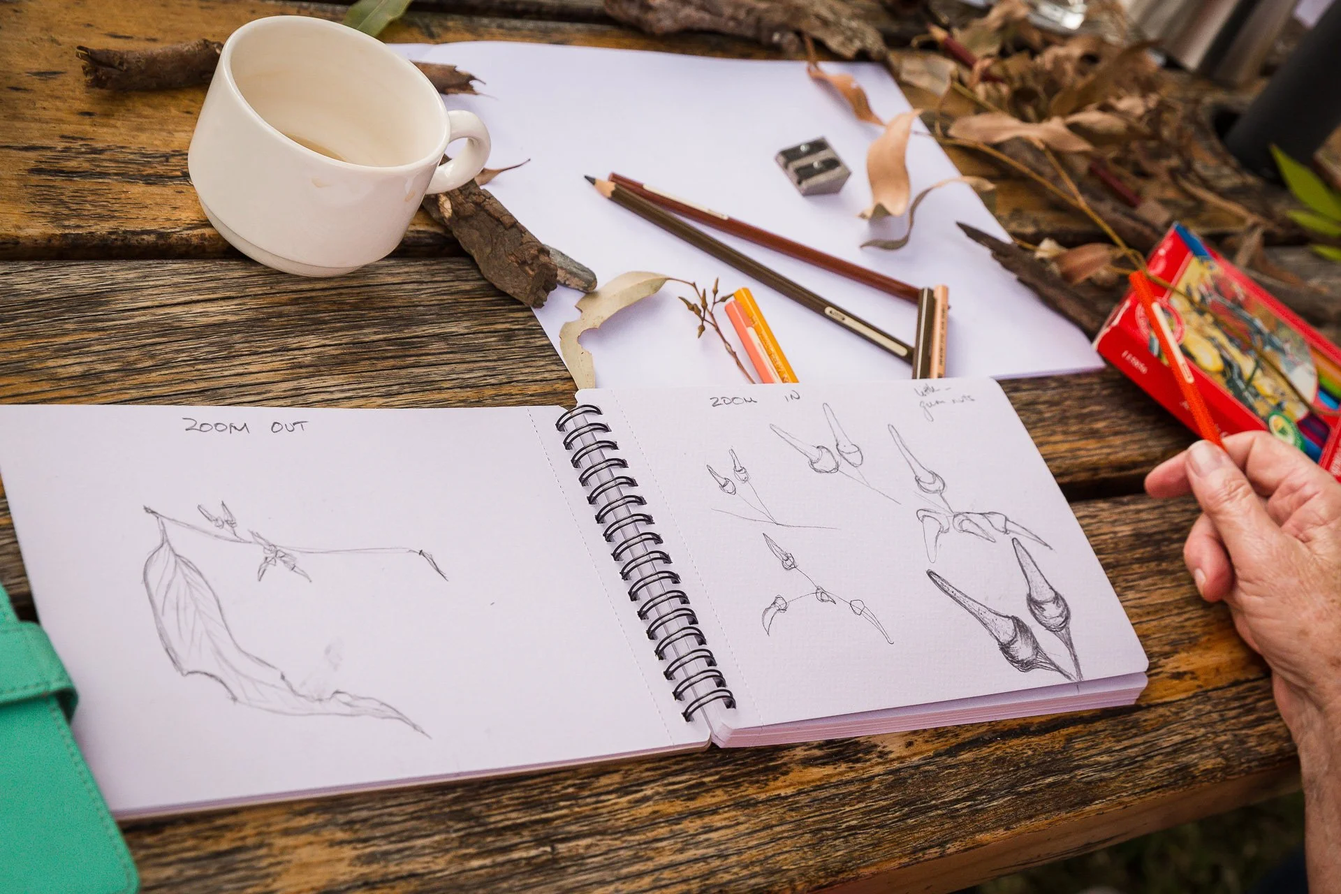 'Intro to Nature Journaling' workshop