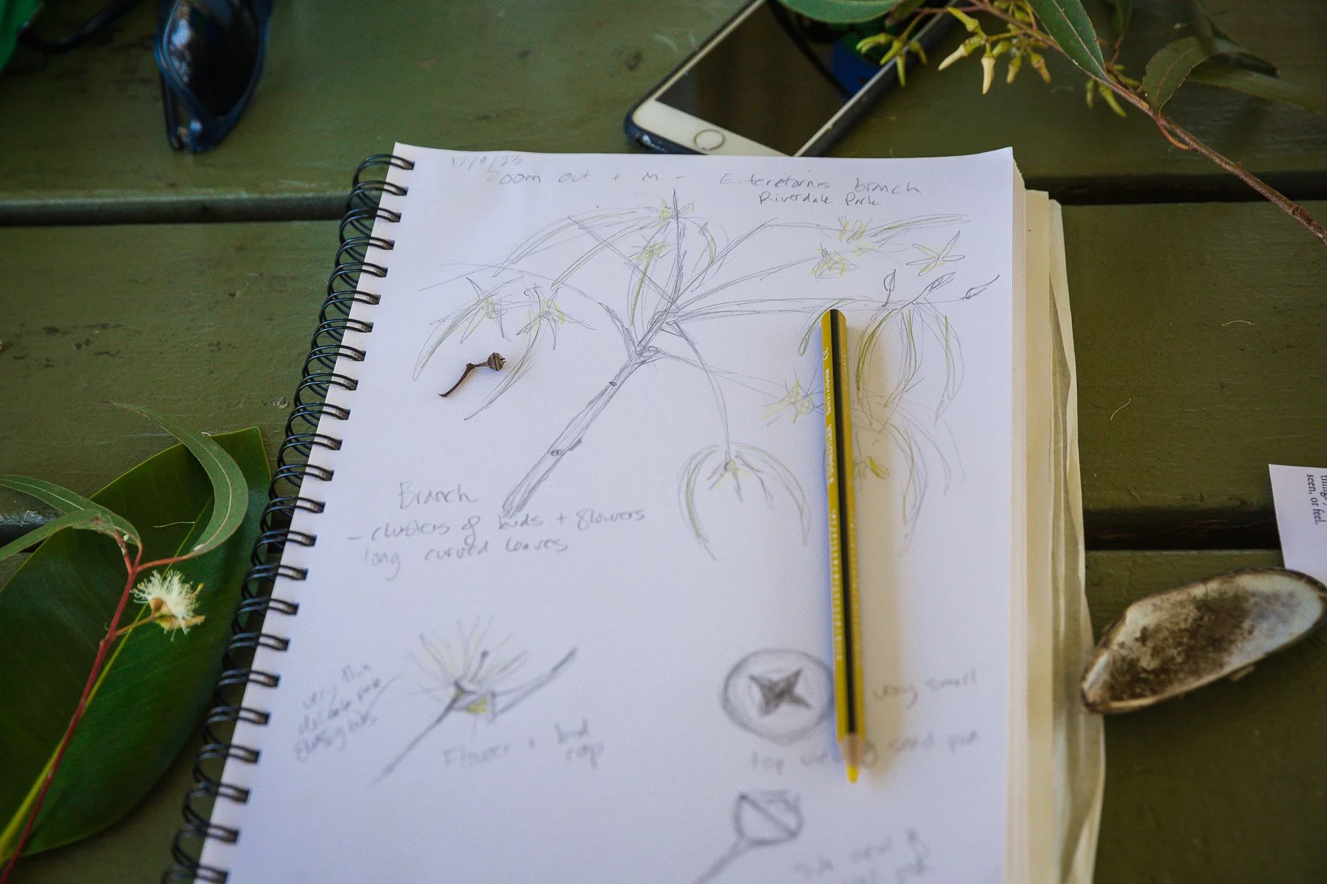 SCCRG Workshop-40.jpg