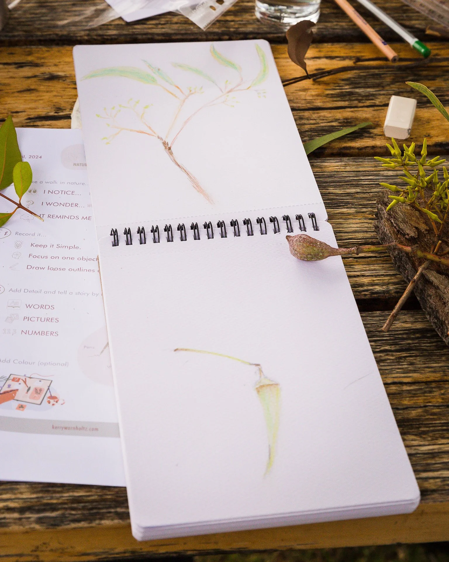 'Intro to Nature Journaling' workshop