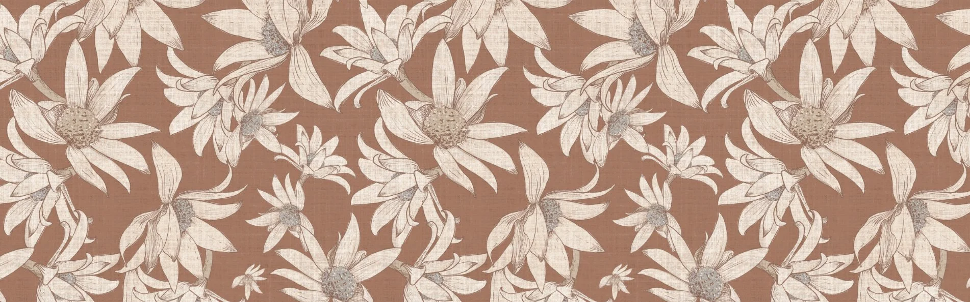 Hand-drawn-botanical-australian-flannel-flowers-earthy-brown.jpg